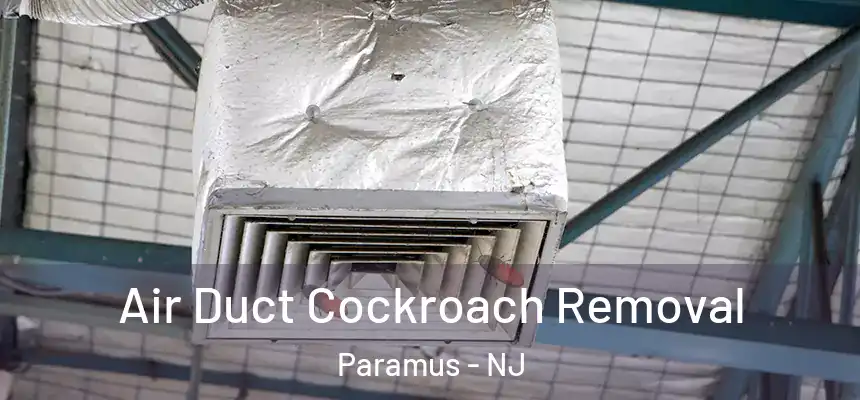  Air Duct Cockroach Removal Paramus - NJ