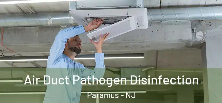 Air Duct Pathogen Disinfection Paramus - NJ