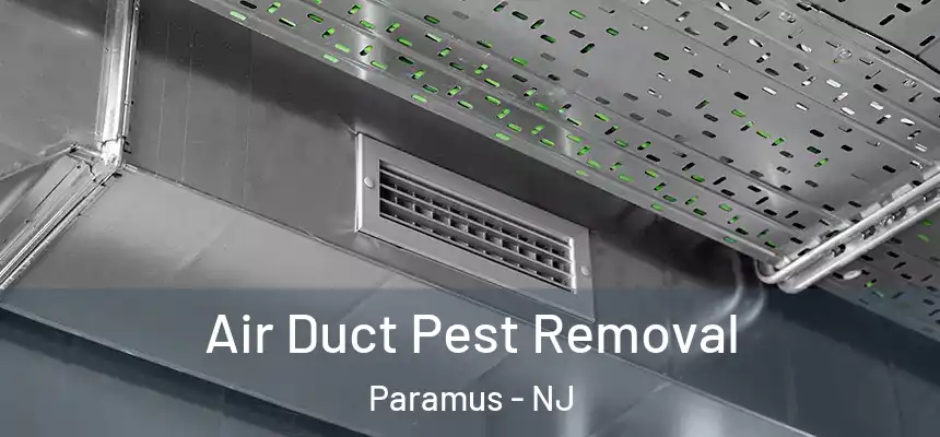 Air Duct Pest Removal Paramus - NJ