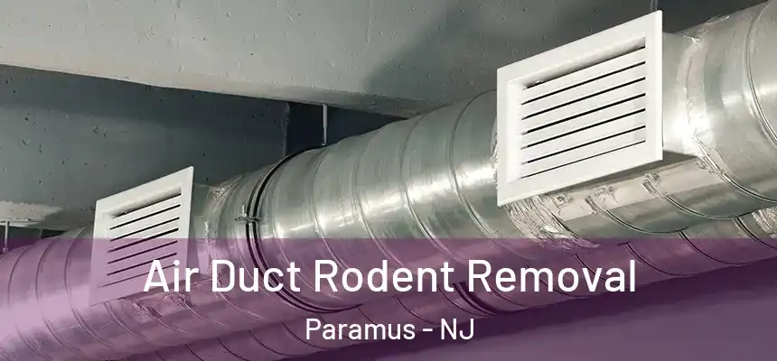 Air Duct Rodent Removal Paramus - NJ