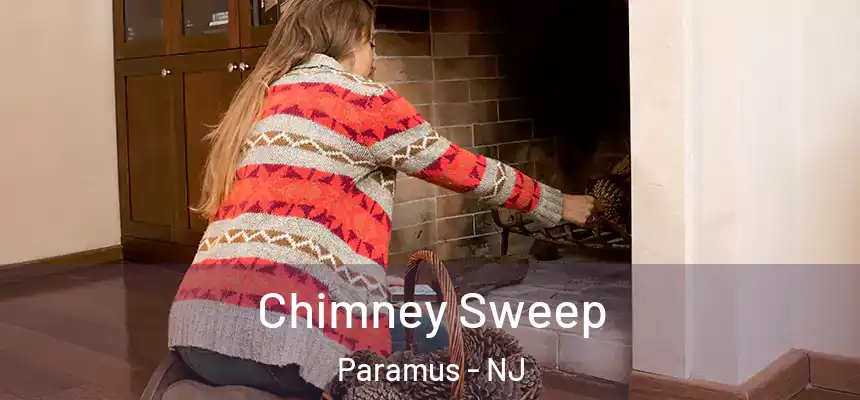  Chimney Sweep Paramus - NJ