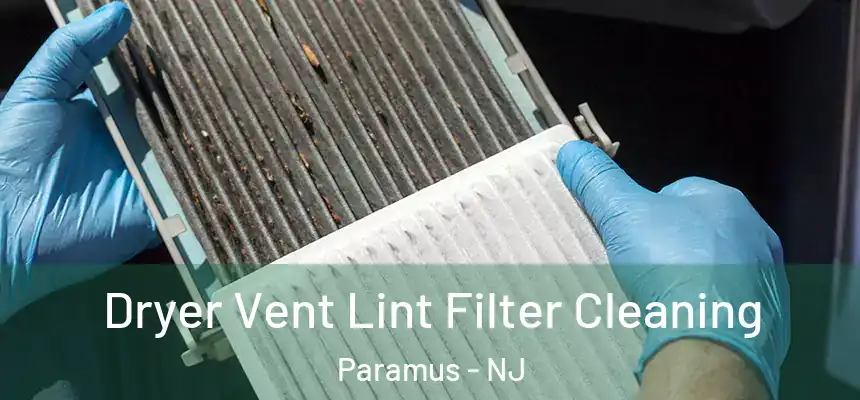  Dryer Vent Lint Filter Cleaning Paramus - NJ