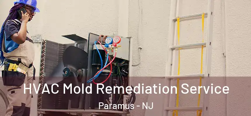 HVAC Mold Remediation Service Paramus - NJ