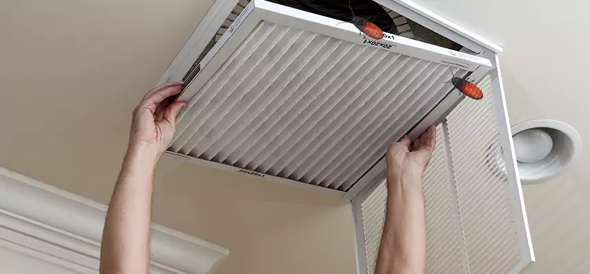 Our Insect Removal from Air Ducts Services in Paramus, NJ