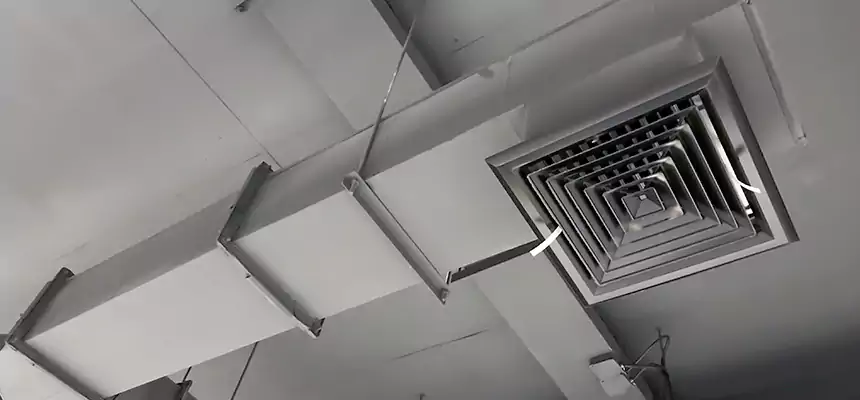 Our Rodent Droppings In Vents Services in Paramus, NJ