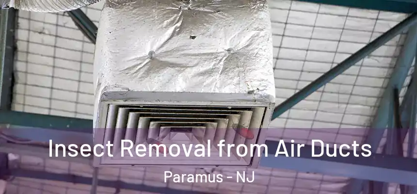 Insect Removal from Air Ducts Paramus - NJ