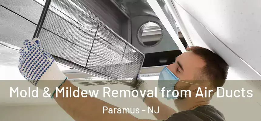  Mold & Mildew Removal from Air Ducts Paramus - NJ