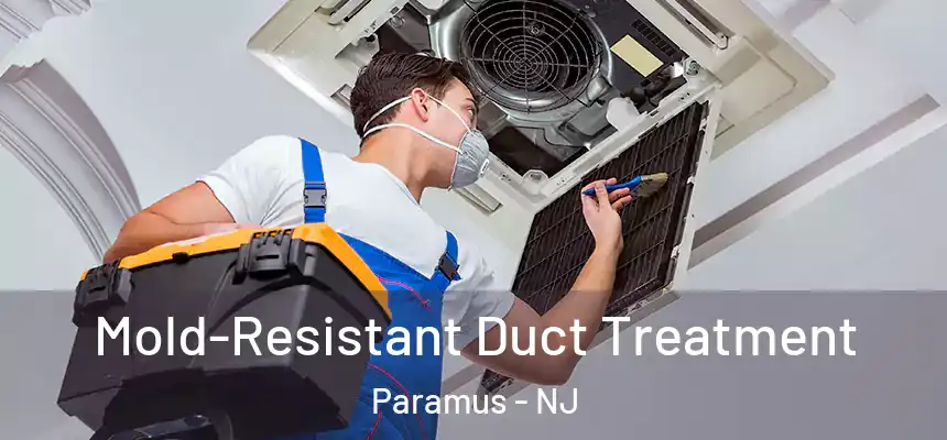 Mold-Resistant Duct Treatment Paramus - NJ