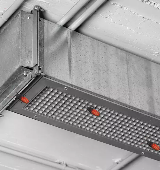 About Air Duct Cockroach Removal in Paramus, NJ