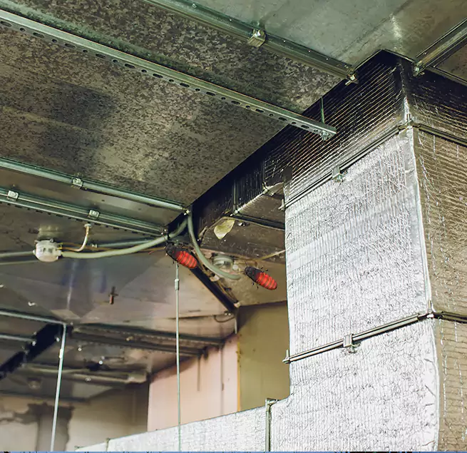 Why Homeowners & Businesses Trust Us in Paramus, NJ?