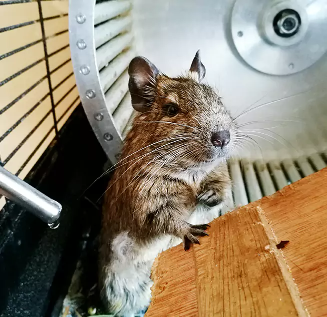 Why Homeowners & Businesses Trust Us Paramus, NJ?