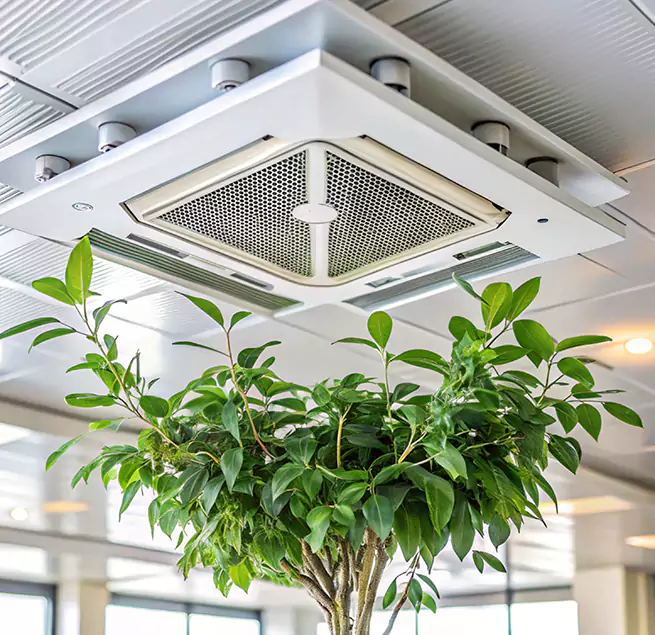 Why Homeowners & Businesses Trust Us in Paramus, NJ